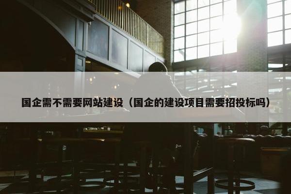 国企需不需要网站建设（国企的建设项目需要招投标吗）