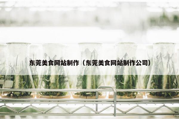 东莞美食网站制作（东莞美食网站制作公司）
