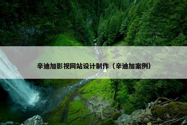辛迪加影视网站设计制作（辛迪加案例）