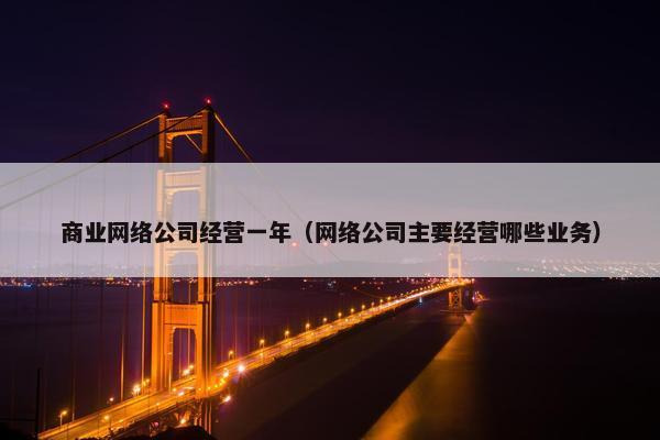 商业网络公司经营一年（网络公司主要经营哪些业务）