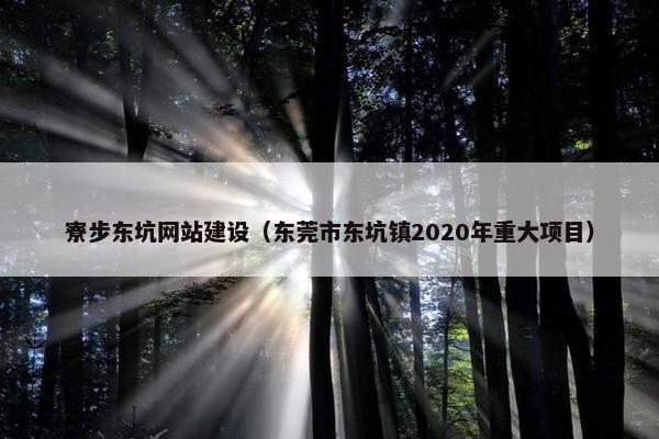 寮步东坑网站建设（东莞市东坑镇2020年重大项目）