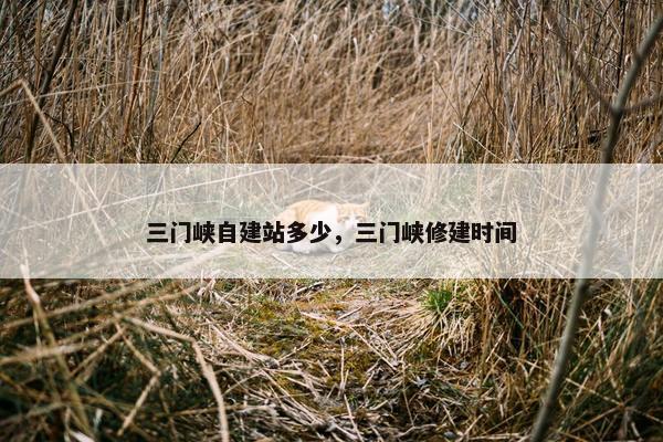 三门峡自建站多少，三门峡修建时间
