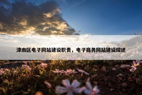 津南区电子网站建设职责，电子商务网站建设综述