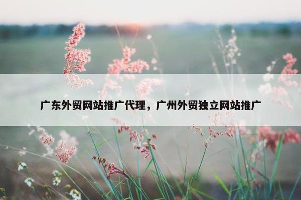广东外贸网站推广代理，广州外贸独立网站推广