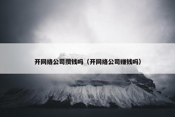 开网络公司攒钱吗（开网络公司赚钱吗）