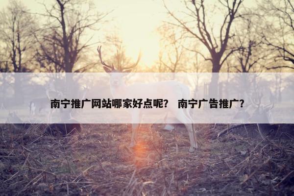南宁推广网站哪家好点呢？ 南宁广告推广？