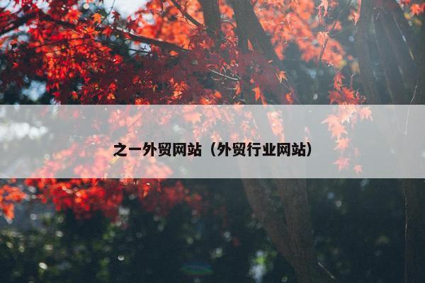 之一外贸网站（外贸行业网站）