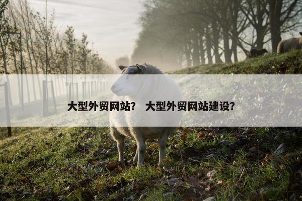 大型外贸网站？ 大型外贸网站建设？