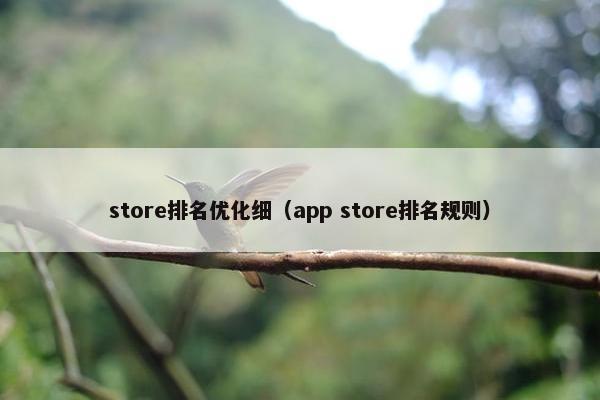 store排名优化细（app store排名规则）