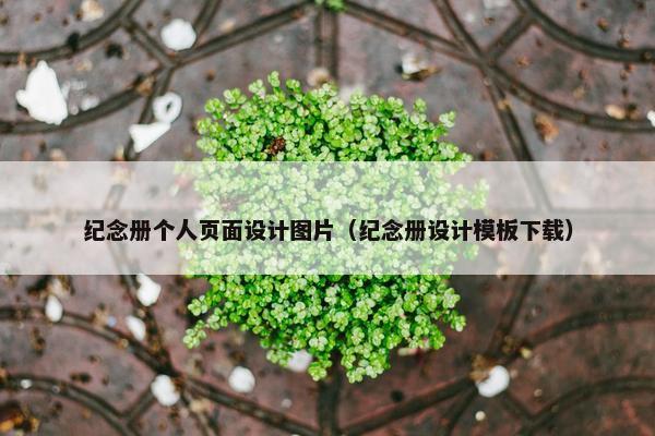 纪念册个人页面设计图片（纪念册设计模板下载）