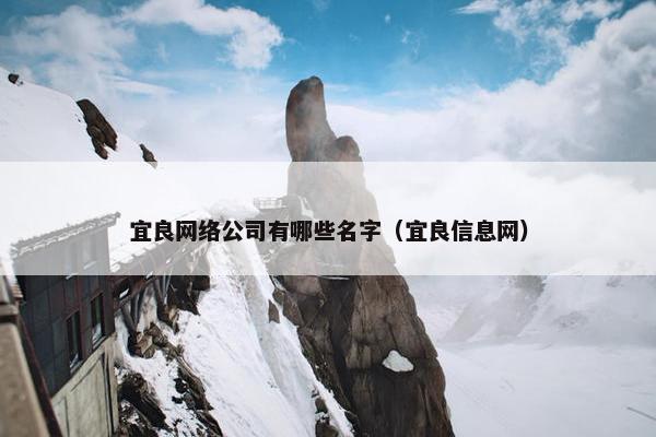 宜良网络公司有哪些名字（宜良信息网）