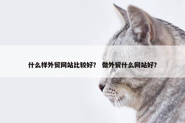 什么样外贸网站比较好？ 做外贸什么网站好？