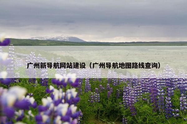 广州新导航网站建设（广州导航地图路线查询）