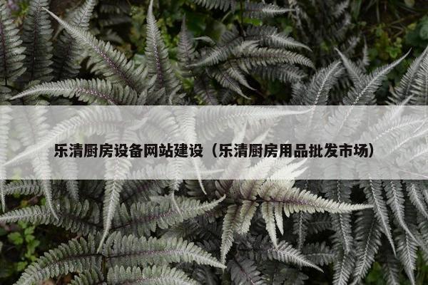 乐清厨房设备网站建设（乐清厨房用品批发市场）