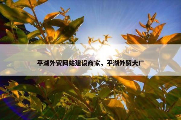 平湖外贸网站建设商家，平湖外贸大厂