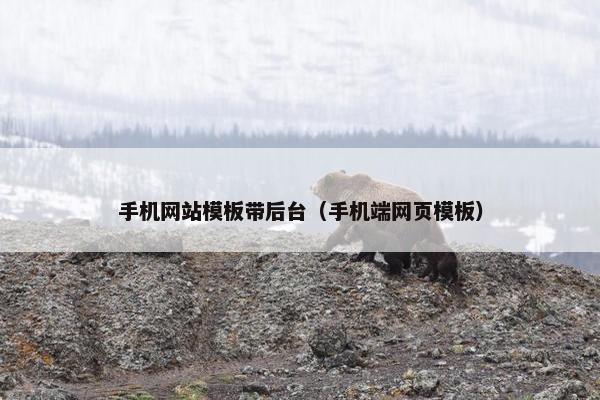 手机网站模板带后台（手机端网页模板）