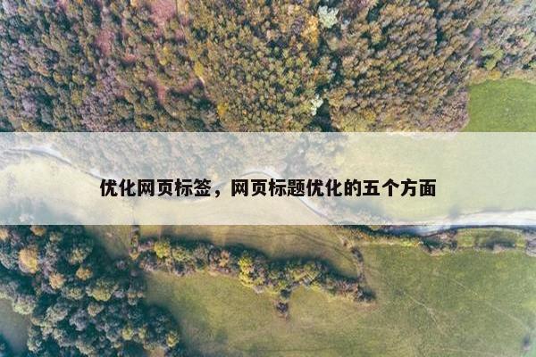 优化网页标签，网页标题优化的五个方面
