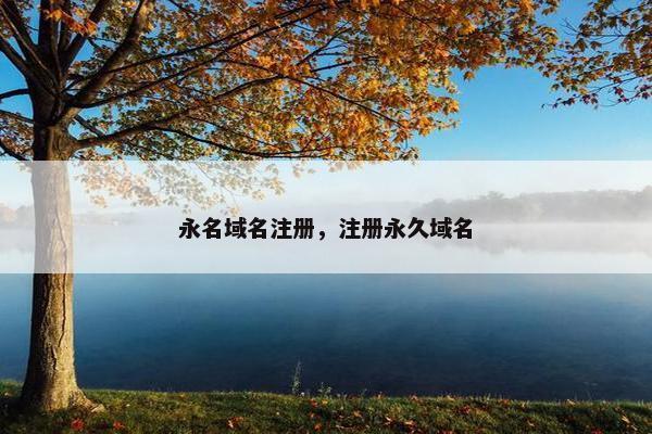 永名域名注册，注册永久域名
