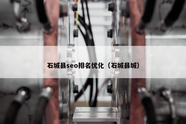 石城县seo排名优化（石城县城）