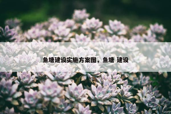鱼塘建设实施方案图，鱼塘 建设