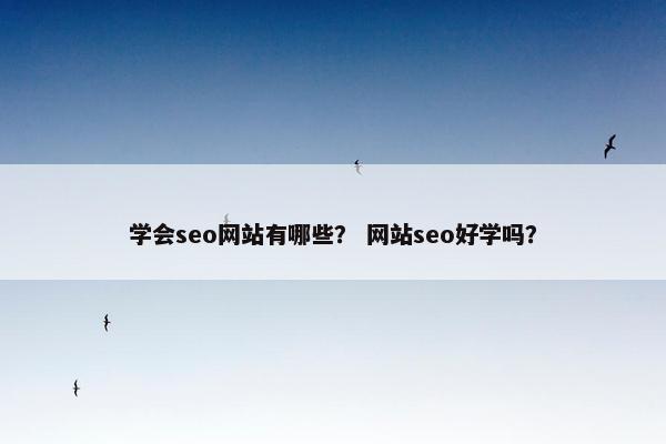 学会seo网站有哪些？ 网站seo好学吗？