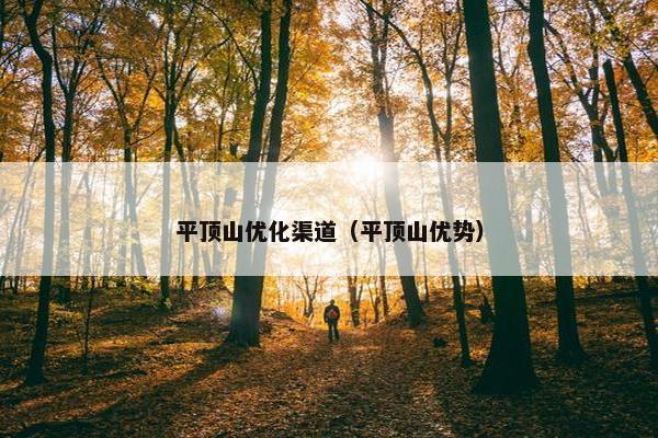 平顶山优化渠道（平顶山优势）