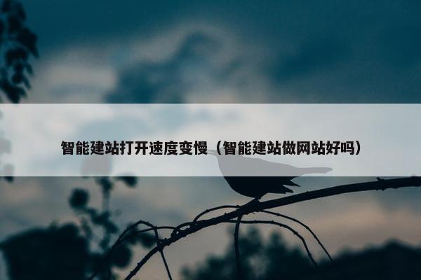 智能建站打开速度变慢（智能建站做网站好吗）