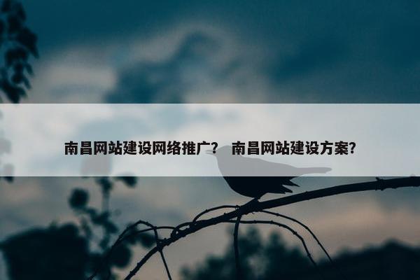 南昌网站建设网络推广？ 南昌网站建设方案？