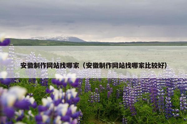 安徽制作网站找哪家（安徽制作网站找哪家比较好）