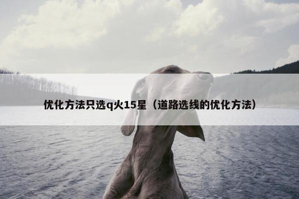 优化方法只选q火15星（道路选线的优化方法）