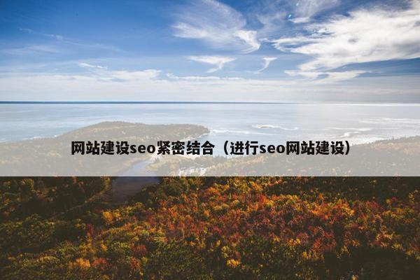 网站建设seo紧密结合（进行seo网站建设）