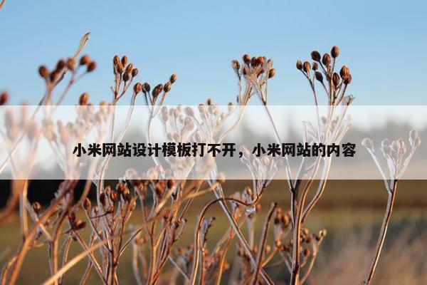 小米网站设计模板打不开，小米网站的内容