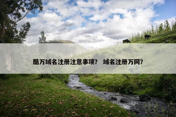 酷万域名注册注意事项？ 域名注册万网？