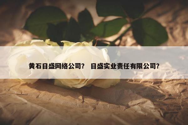 黄石日盛网络公司？ 日盛实业责任有限公司？