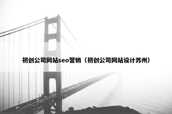 初创公司网站seo营销（初创公司网站设计苏州）