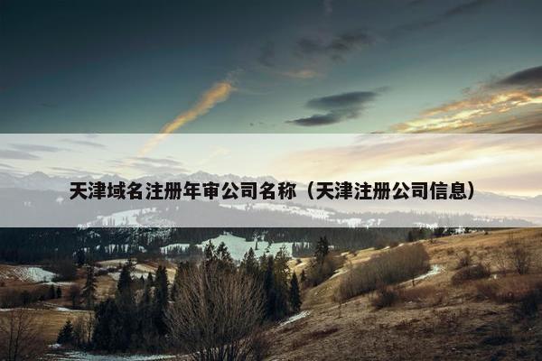 天津域名注册年审公司名称（天津注册公司信息）