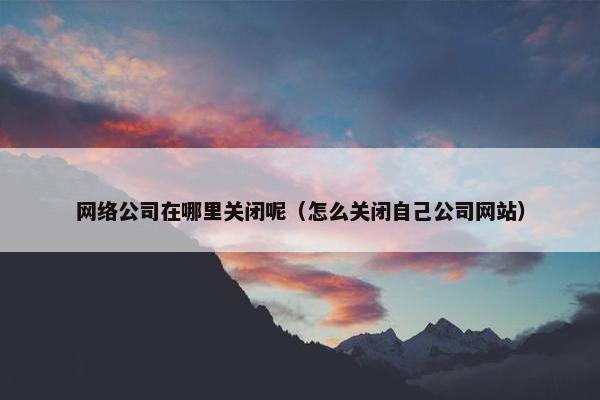 网络公司在哪里关闭呢（怎么关闭自己公司网站）