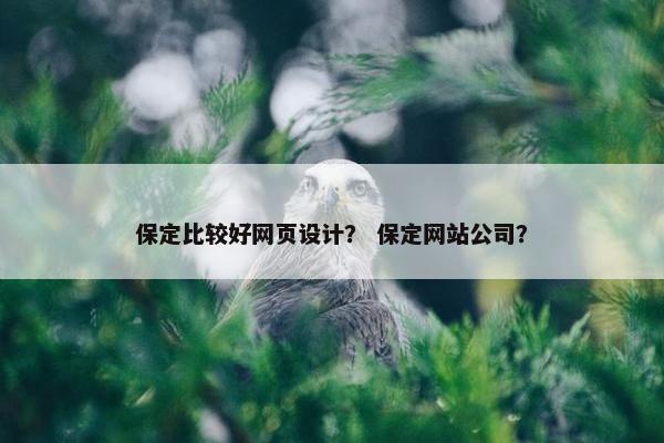 保定比较好网页设计？ 保定网站公司？