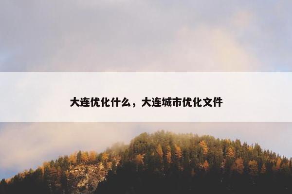 大连优化什么，大连城市优化文件