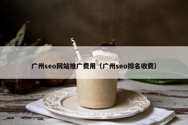 广州seo网站推广费用（广州seo排名收费）