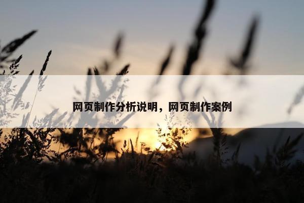 网页制作分析说明，网页制作案例