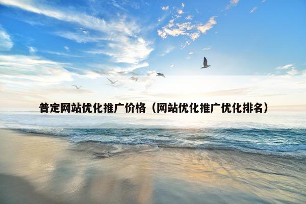 普定网站优化推广价格（网站优化推广优化排名）