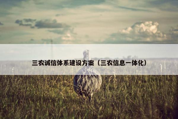 三农诚信体系建设方案（三农信息一体化）