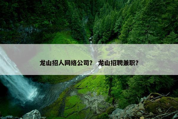龙山招人网络公司？ 龙山招聘兼职？