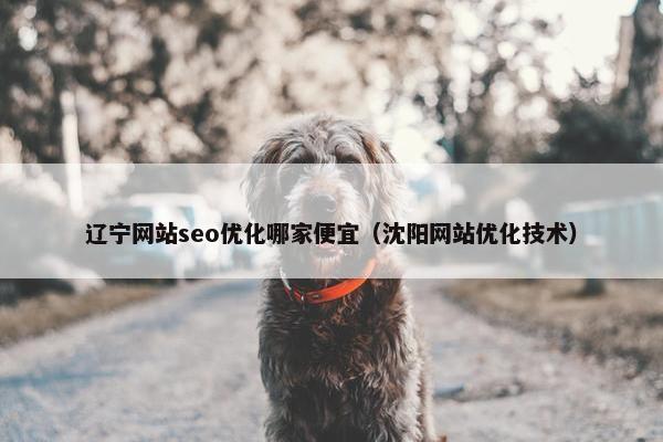 辽宁网站seo优化哪家便宜（沈阳网站优化技术）