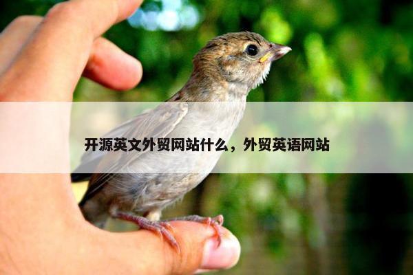 开源英文外贸网站什么，外贸英语网站