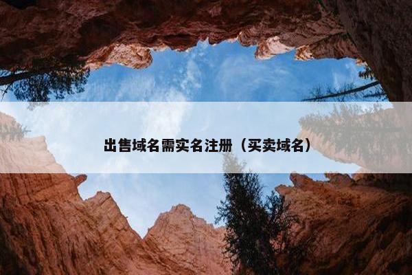 出售域名需实名注册（买卖域名）