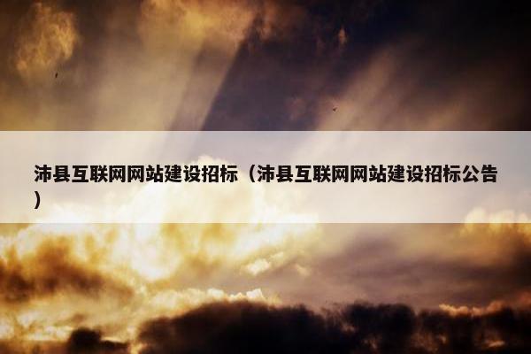 沛县互联网网站建设招标（沛县互联网网站建设招标公告）