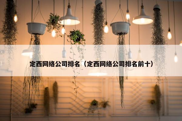 定西网络公司排名（定西网络公司排名前十）