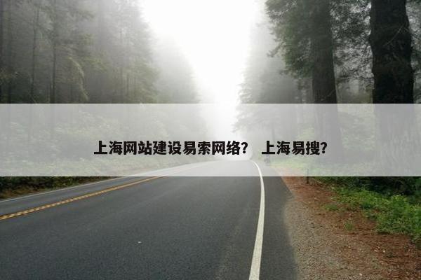 上海网站建设易索网络？ 上海易搜？
